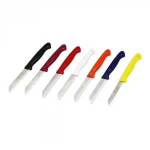 SOLİNGEN MEYVE BIÇAK ( RENKLi PLASTİK SAPLI  )*60X1