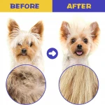 KEDİ-KÖPEK PİRE BİT TARAK SETİ